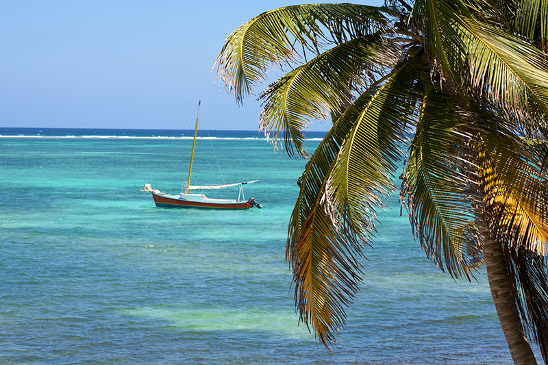 tropical sail