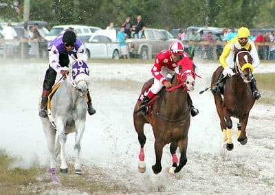 Boxing-Day-horse